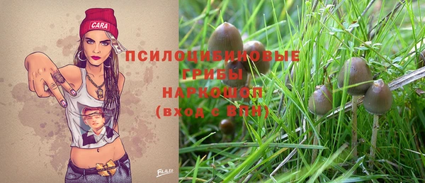 кристаллы Козловка