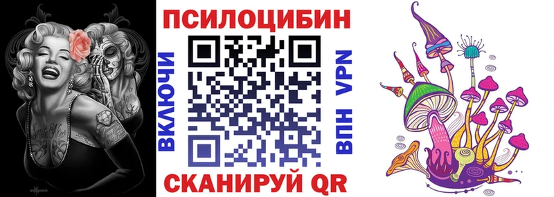 Псилоцибиновые грибы мицелий  нарко площадка наркотические препараты  Чадан 